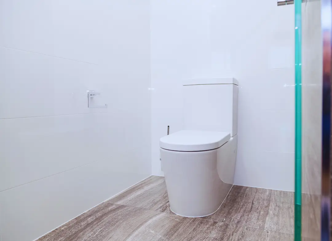 Remplacement de wc Pignan